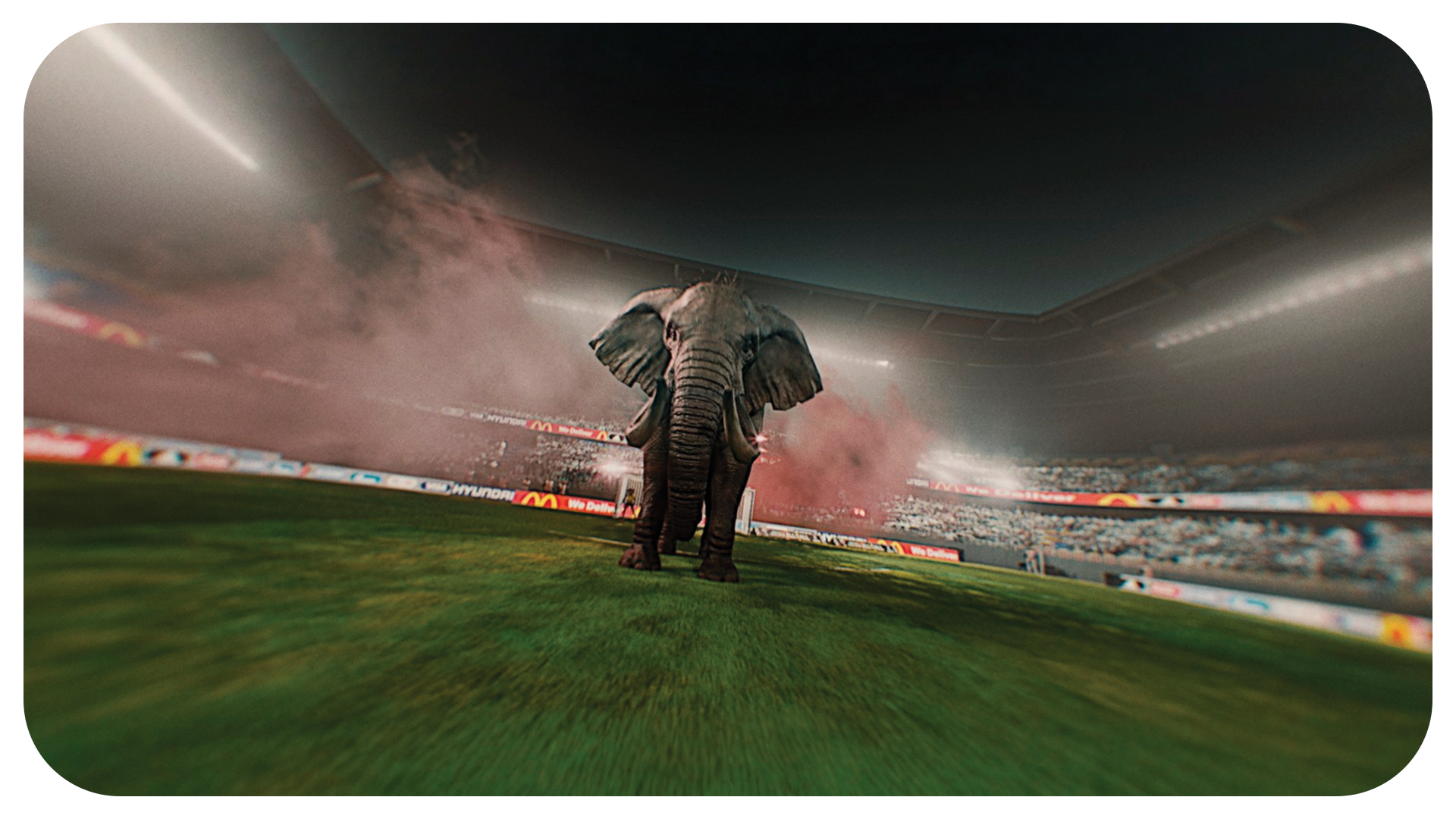 Vignettes_Run like a tiger